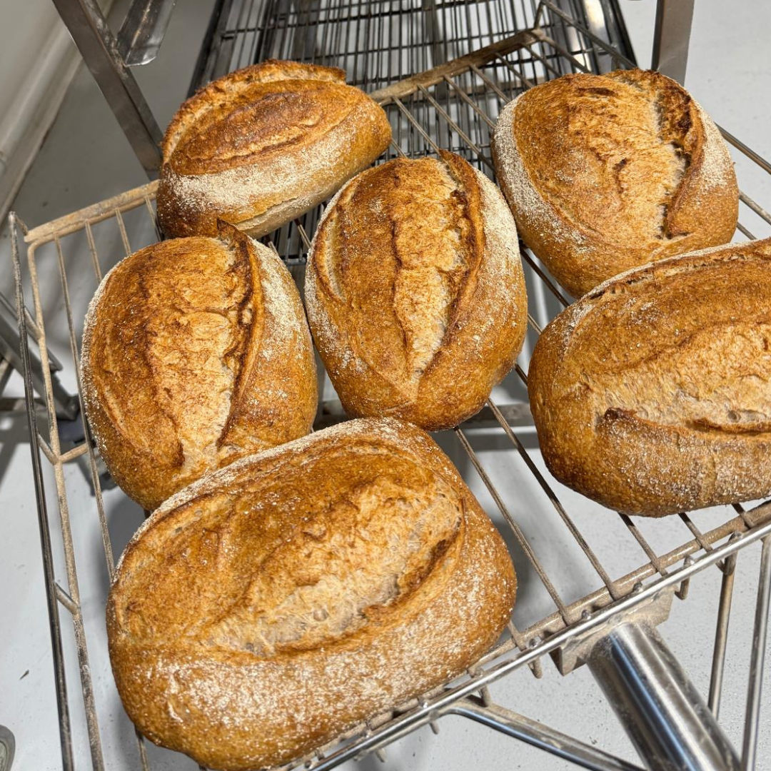 Spelt Sourdough